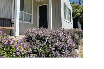 Image de A cosy and quiet retreat, walking distance to town and Eildon pondage.