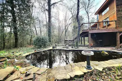 Image de Bayou Bromeliad at Lochloosa