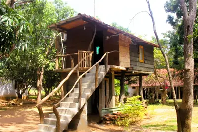 Image de Cabin - Eagles Wing's Guest House