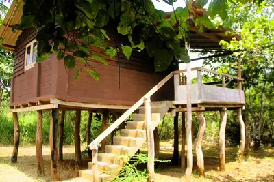 Image de Cabin Air Conditioned - Eagles Wing's GuestHouse