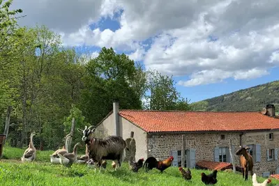 Image de Gîte de charme avec boiseries, cheminée et jardin fleuri à Sauvain
