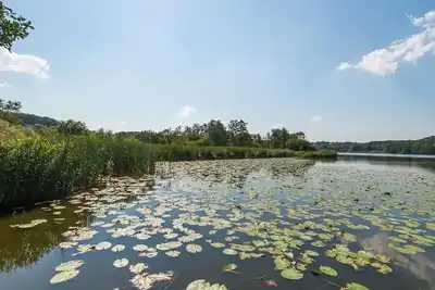 Image de Niehuuser Annenhof - Niehuuser Annenhof - Wohnung Oben