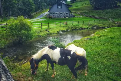 Image de Entire Barn: Farm Stay w/ Petting Zoo, Tube Slide & Ziplines
