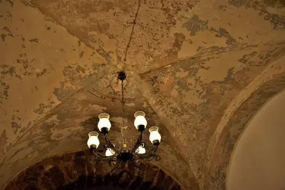 Image de House of Tano ⭐⭐⭐⭐⭐