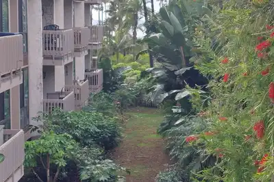 Image de B213 North Coast Village