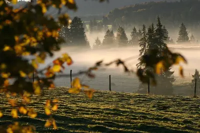 Image de Joli appartement pour 12 personnes avec Wifi et balcon
