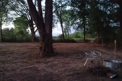 Image de A great spot to relax under nice shade trees and plenty of room for activities.
