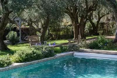 Magnifique villa au milieu d'une oliveraie centenaire avec piscine et jacuzzi