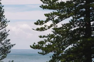 The Seaspray On Main Beach
