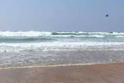 Image de Maison zen Entre Océan et Forêt - Terrasse et Jardin