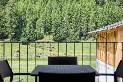 Image de Bel appartement pour 4 personnes avec Wifi, Tv, terrasse et animaux admis