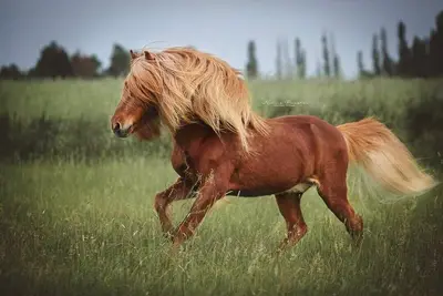 Image de Holiday apartment in the heart of Germany