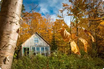 Image de Find renewal in a charming off-grid, Vermont cabin with stunning mountain views.
