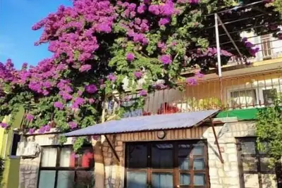 Villa Flores Mali Lošinj