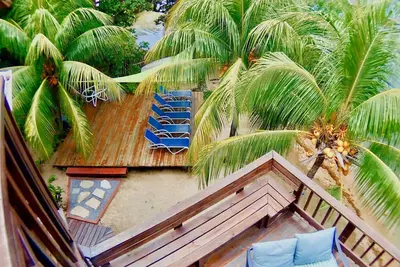 Image de Dolphin Lover's Paradise