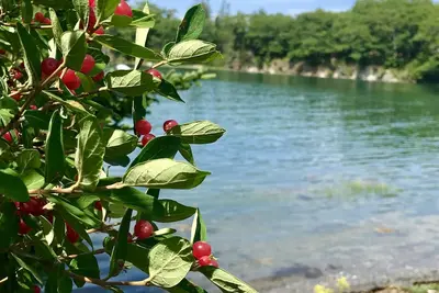 Image de Oceanfront Cottage at Acadia National Park Bar Harbor/Acadia Sunrise Cottage