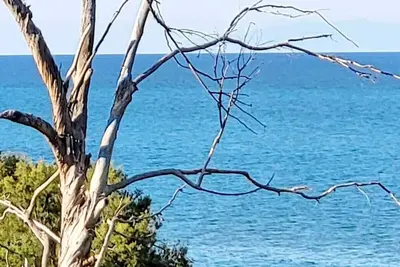 Image de La plage absolue