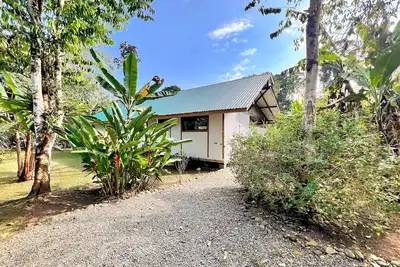 Image de Whispering Wisdom | 3 Bed w/ Pool, Steps to Beach