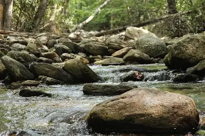 Image de Pisgah Creek Retreat- Escape to nature. Secluded- Creekside, Well Equip- WiFi