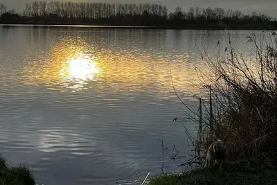 Image de Strand, zee, duinen en bollenvelden. Een unieke plek om te genieten.