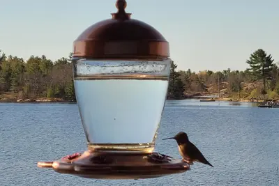 Image de Cottage #5 - 3 Bedroom at Katawoda Cottages