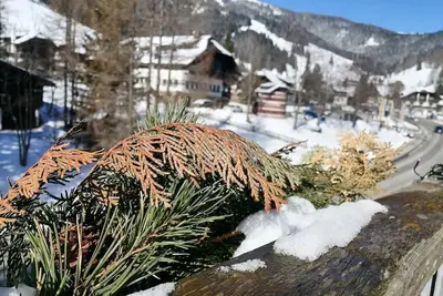 Image de Appartement Moni / Golf & Ski - Top 9 - Appartement Moni / Golf & Ski Top 9