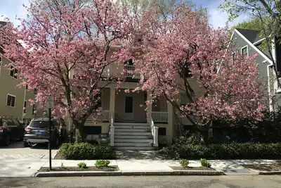 Image de Urban/Suburban 4-bedroom, 2-bath House for Summer Rental in Brookline, Ma
