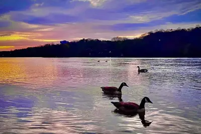 Image de Lake Guntersville waterfront lake house Snug Harbor- Great fishing