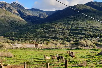 Image de Maison au cœur du maquis, trois chambres, wifi, 15 min plage et rivière.