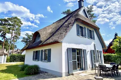 Image de Sterntaucher, Deutschland
