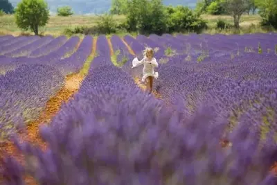 Image de Douce Provence (Côte d'Azur\/Provence) Wifi\/Clim\/Tv androide