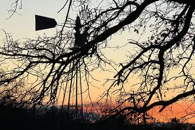 Image de Charming country home, game room, pond, gazebo and peaceful sounds of windmill.