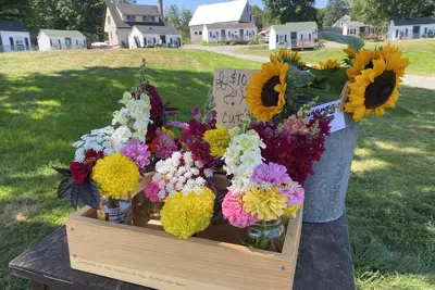 Image de Oceanfront Cottage at Acadia National Park, Bar Harbor/Sea Glass Cottage