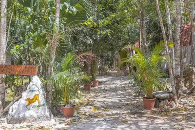 Image de Eco-friendly dome amidst the beautiful jungle, with modern amenities and pool!