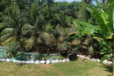 Image de La villa Papaye