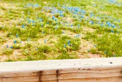 Image de Rural Quanset style barn on 9 acres. Covered patio, Schulenburg, Hallettsville.