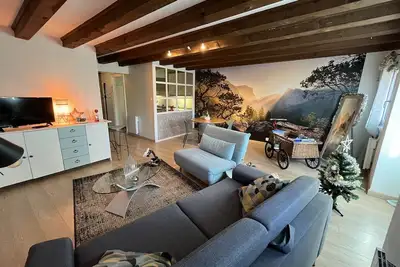 Image de Les Colombages de la Lauch- Appartement Situé Dans le Coeur Historique de Colmar