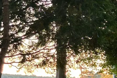 Image de Horse Heaven