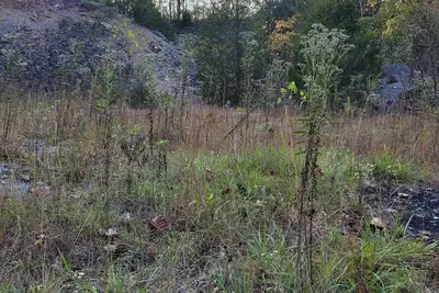 Image de Celtic Glen Farm Stay - Quarry Site\n