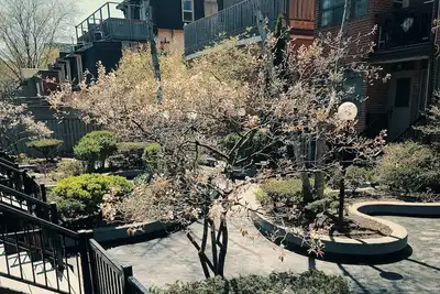 Image de Large downtown Toronto townhouse. Perfect for large groups and families!