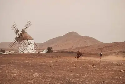 Image de Co-Living at Casa Cocolores