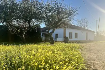 Image de Country house retreat, 10 min away from Évora city center!