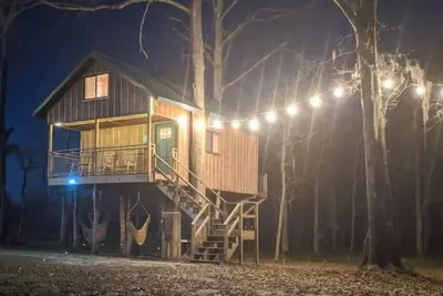 Image de Enchanted Perch Tree House