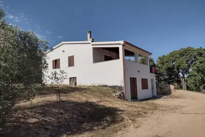 Image de The house of olive trees