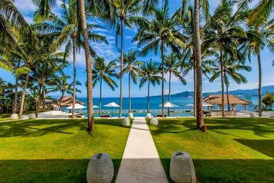 Coconut Palms and Endless Blue Skies!