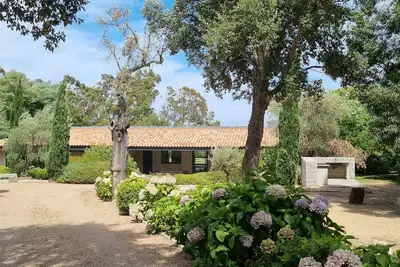 Image de Villa Pieds dans l'eau Porto vecchio