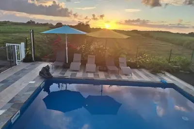 Image de L'éden de Joséphine - Hibiscus