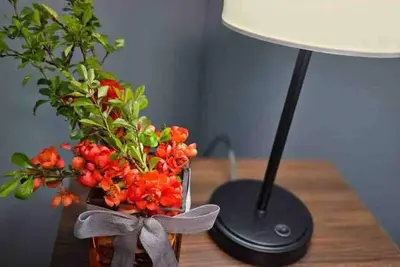 Image de The House on Park Avenue-minutes to music venues Laurel Cove and Bell Theater!