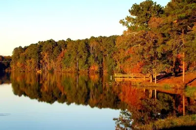 Image de Gorgeous Chippewa Forest and Little Sand Lake @ backyard of this beautiful Cabin