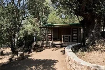 Image de Chalet Nepita 32m² / 2 chambres - terrasse 10m² 5 personnes